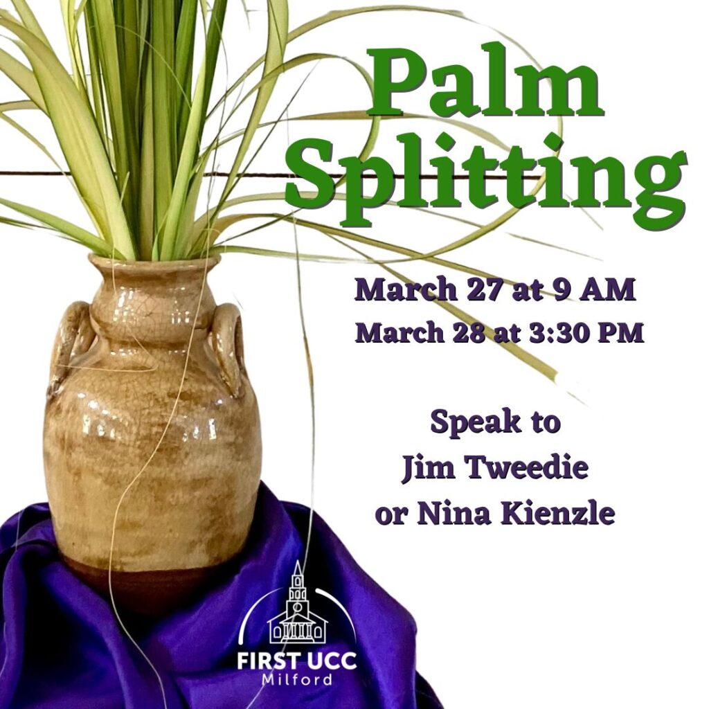 Palm Splitting Event